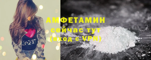 гидра Белокуриха