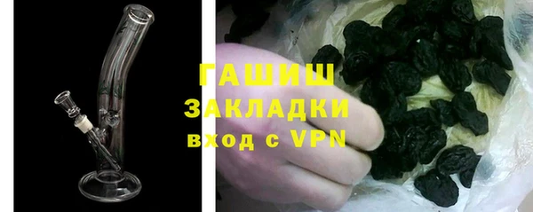 гидра Белокуриха